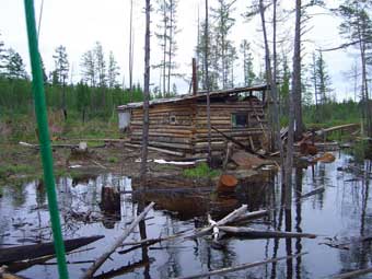 изба